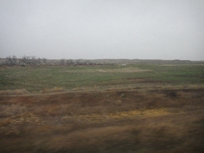 Some areas still had green ground cover
